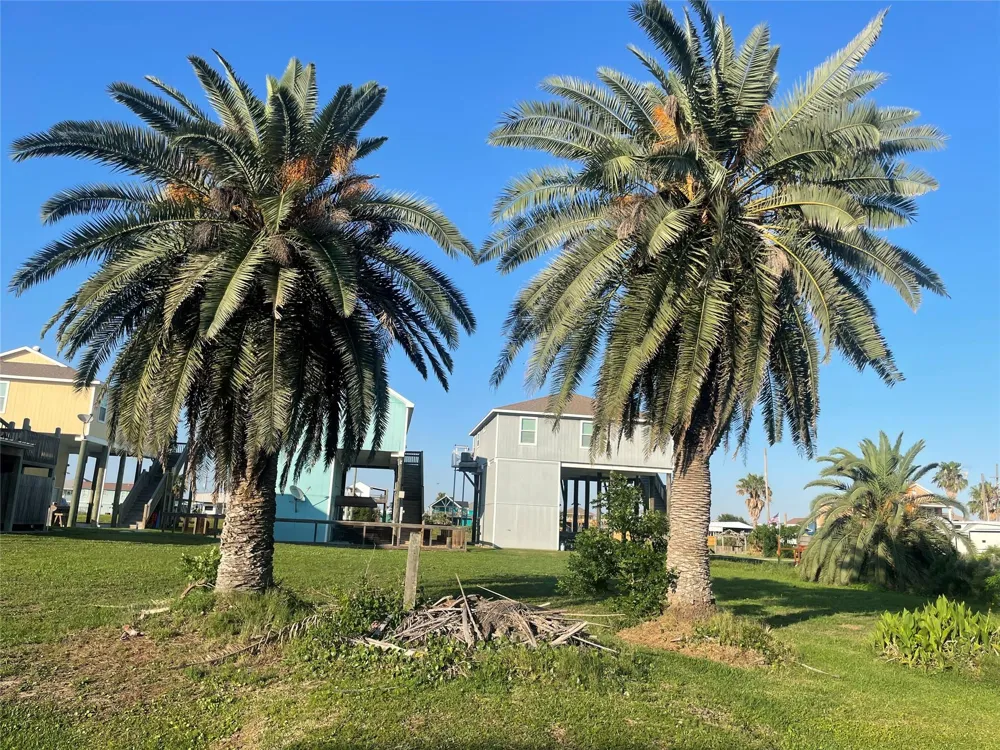 956 S Tinkle Lane Crystal Beach, TX 77650