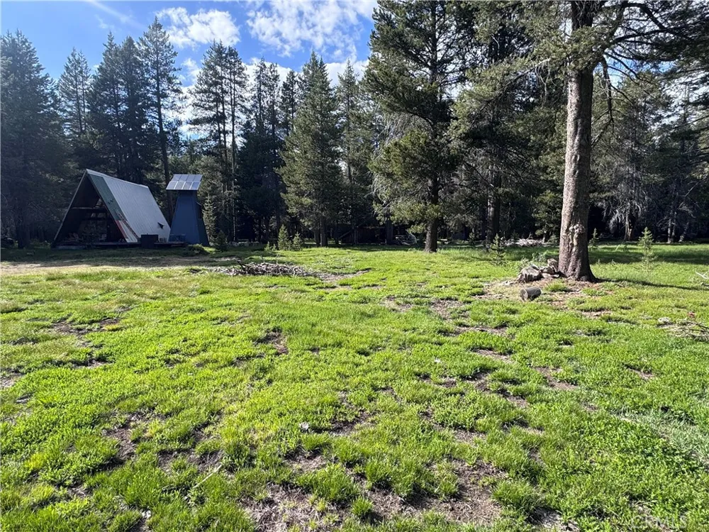 10 Beasore Road Bass Lake, CA 93604