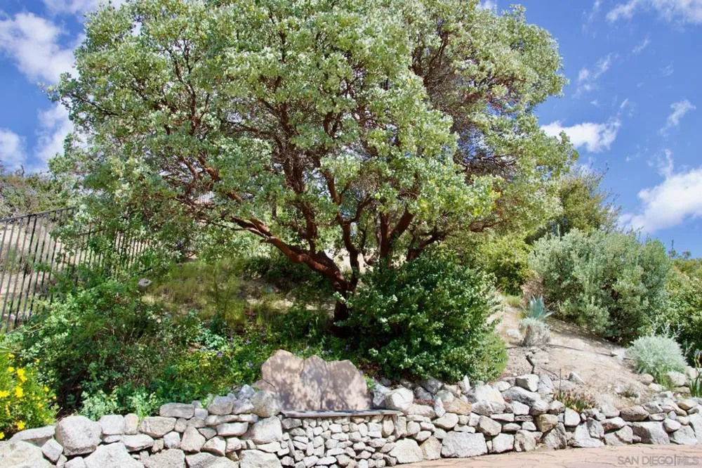 32137 Cerrada del Coyote Warner Springs, CA 92086