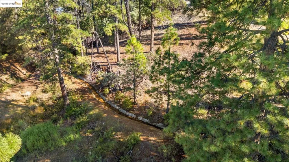 11210 Forest Park Rd Columbia, CA 95310