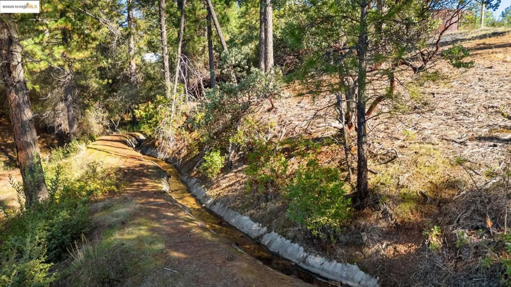 11210 Forest Park Rd Columbia, CA 95310