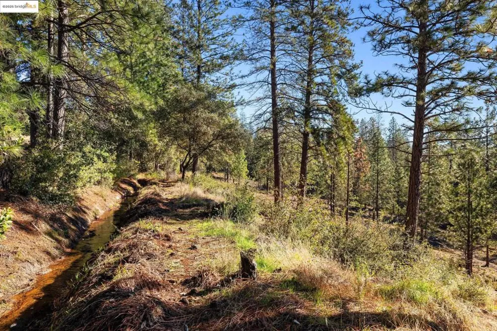 11210 Forest Park Rd Columbia, CA 95310