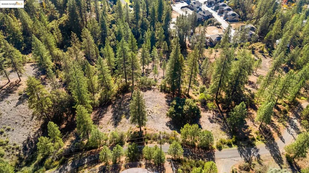 11210 Forest Park Rd Columbia, CA 95310