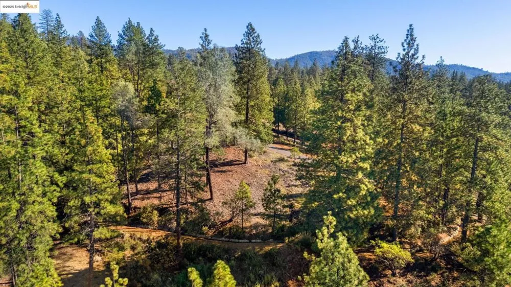 11210 Forest Park Rd Columbia, CA 95310