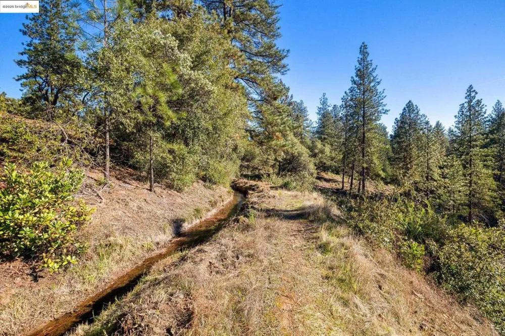 11210 Forest Park Rd Columbia, CA 95310