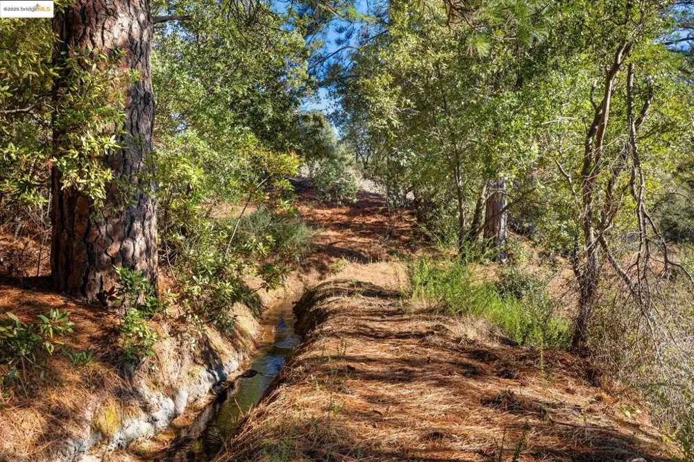 11210 Forest Park Rd Columbia, CA 95310
