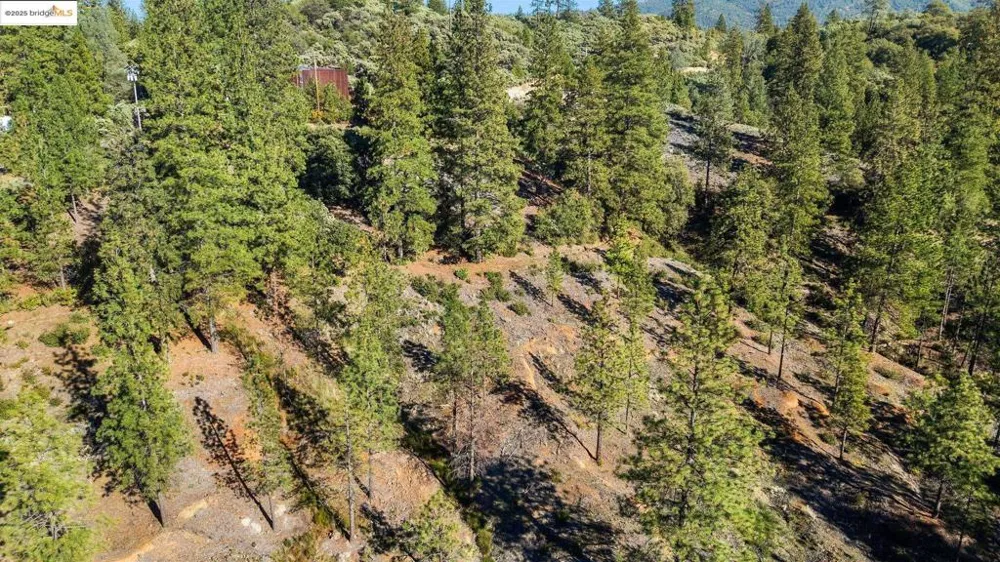 11210 Forest Park Rd Columbia, CA 95310