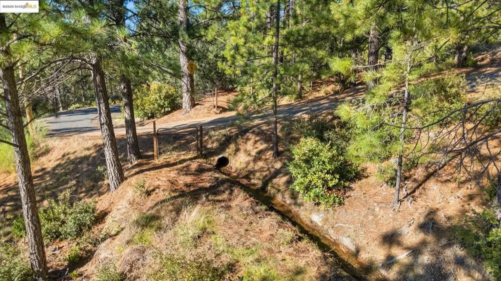 11210 Forest Park Rd Columbia, CA 95310