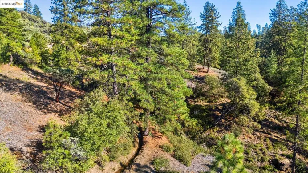 11210 Forest Park Rd Columbia, CA 95310
