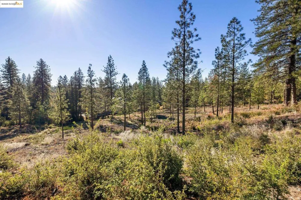 11210 Forest Park Rd Columbia, CA 95310