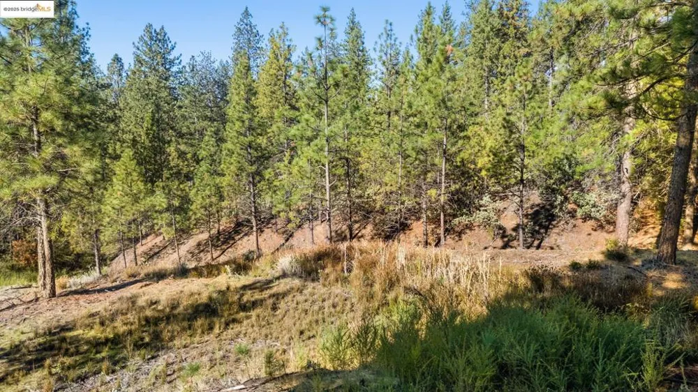 11210 Forest Park Rd Columbia, CA 95310