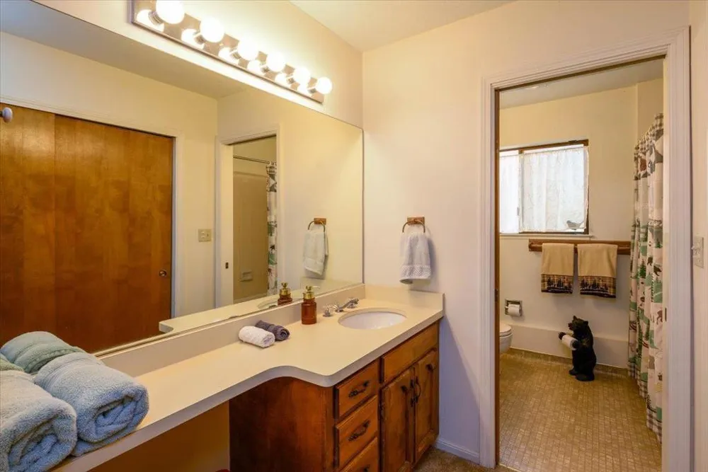 18861 Lookout Drive Twain Harte, CA 95383