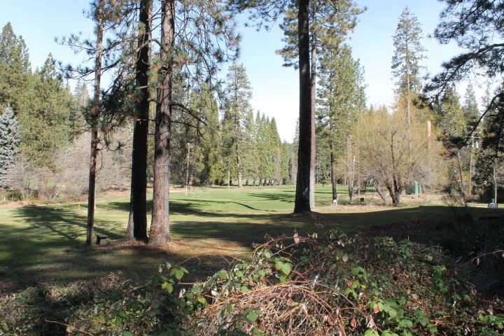 18861 Lookout Drive Twain Harte, CA 95383