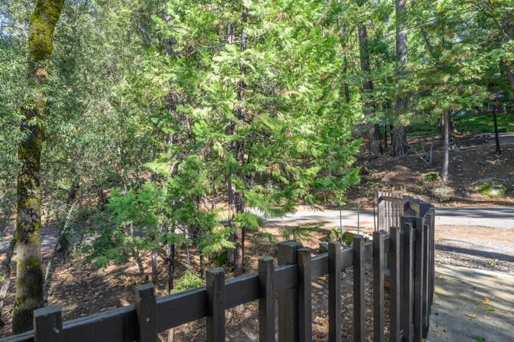 18861 Lookout Drive Twain Harte, CA 95383