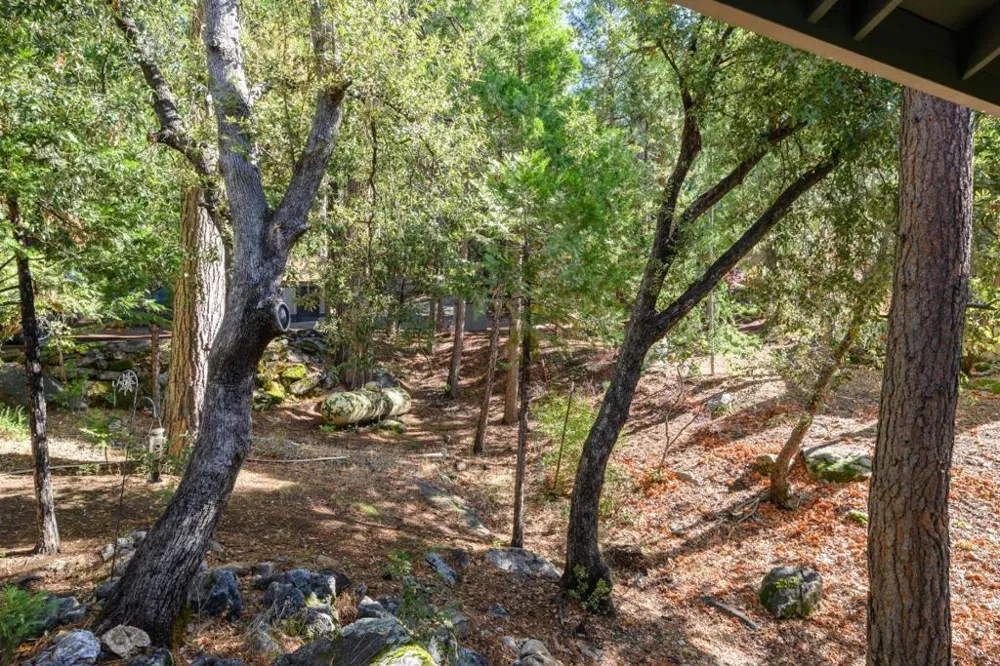 18861 Lookout Drive Twain Harte, CA 95383