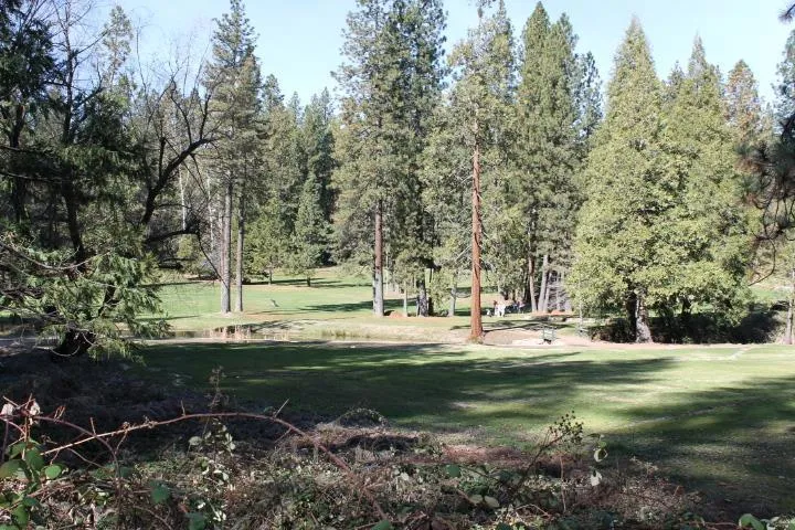 18861 Lookout Drive Twain Harte, CA 95383