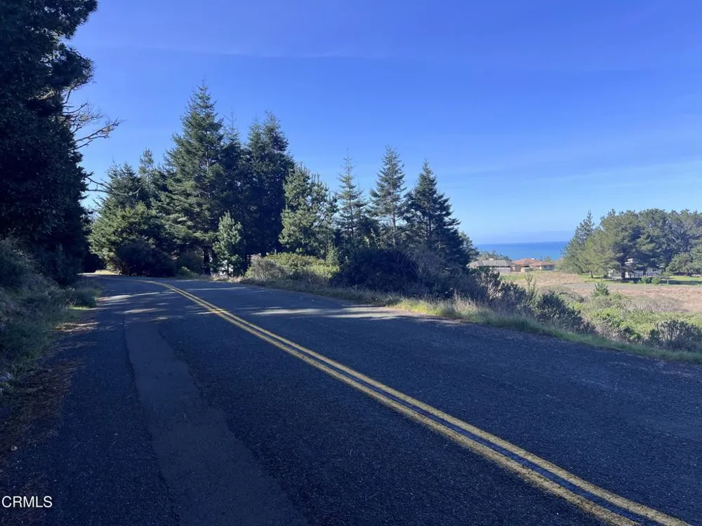 15301 Forest View Road Manchester, CA 95459