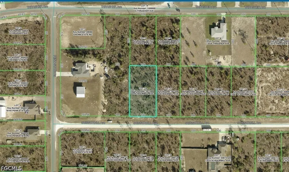 SCISSORBILL AVENUE LOT #18 Weeki Wachee, FL 34614