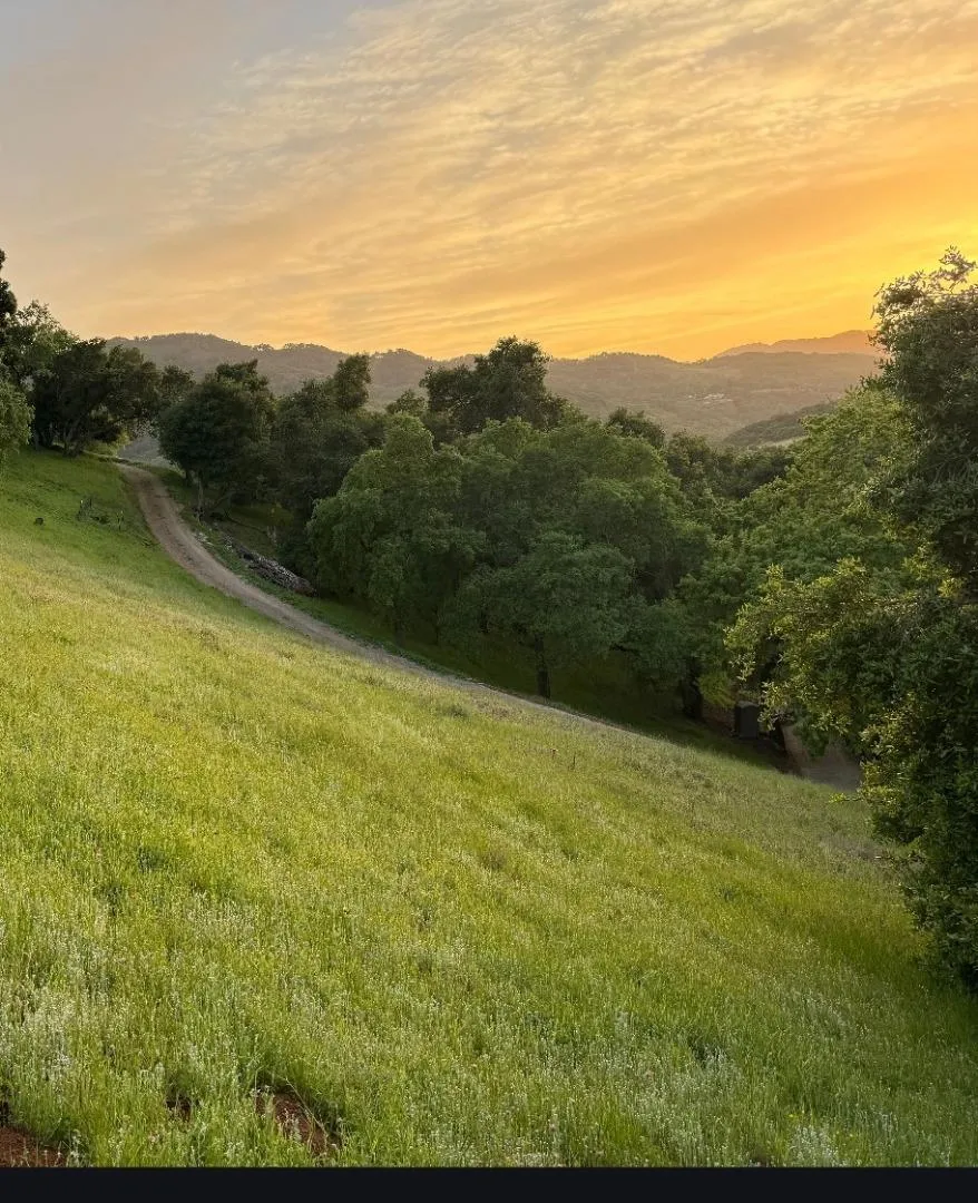 Dahlberg Drive Morgan Hill, CA 95037