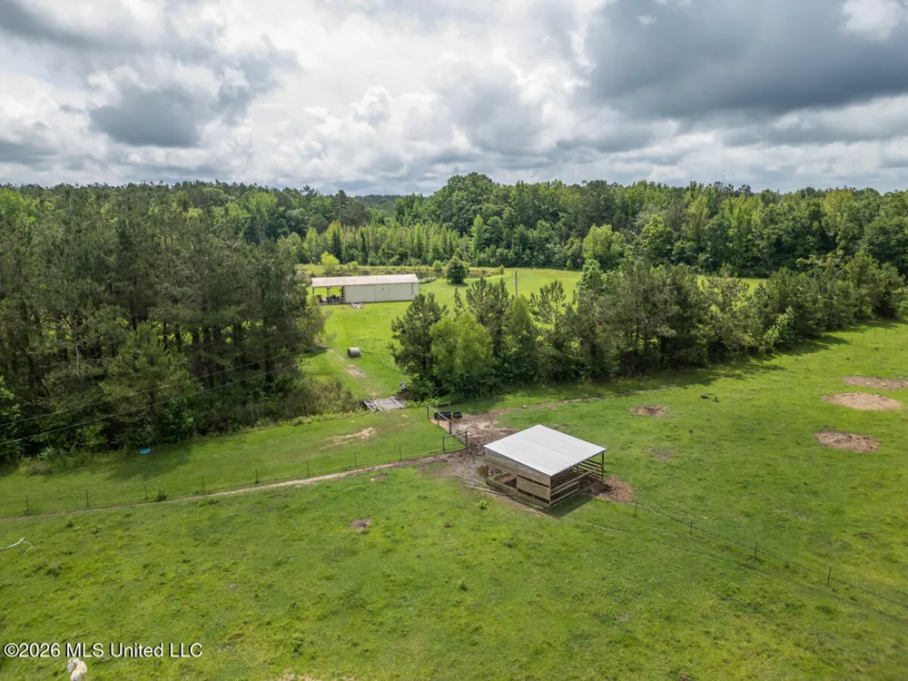 1529 Lower Milligan Springs Road Kilmichael, MS 39747