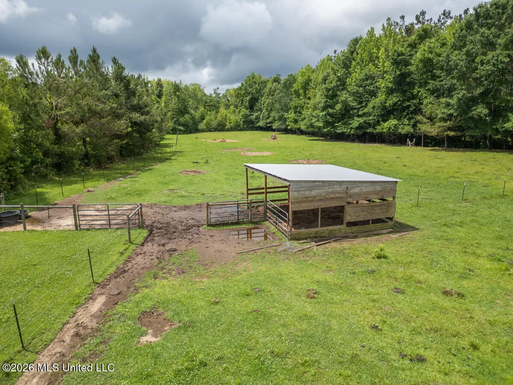1529 Lower Milligan Springs Road Kilmichael, MS 39747
