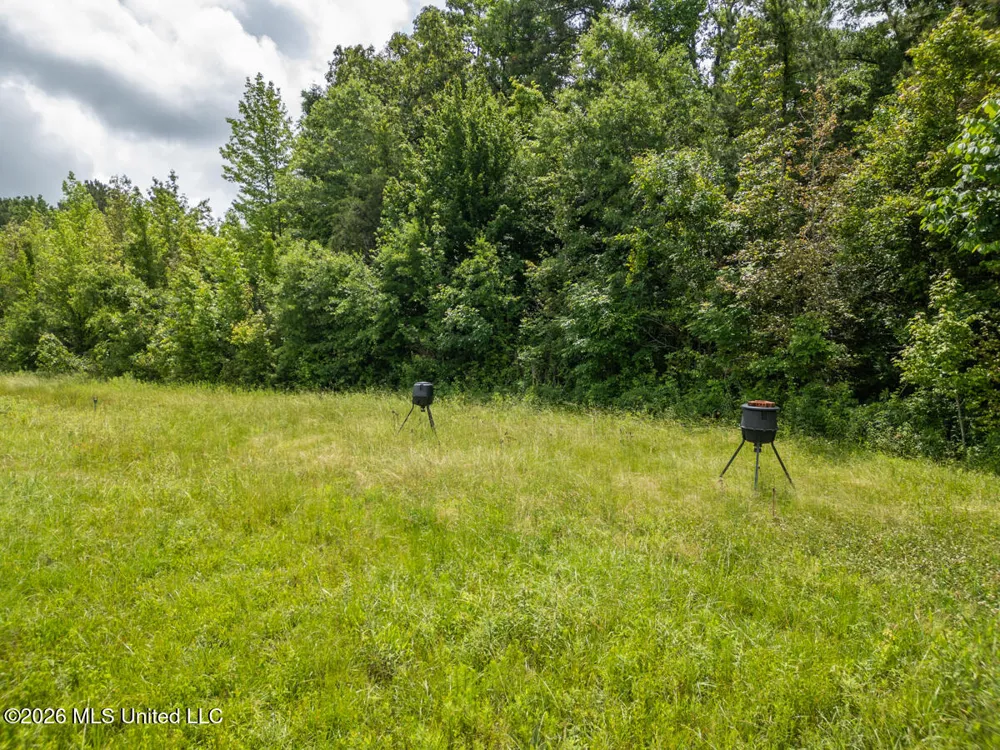 1529 Lower Milligan Springs Road Kilmichael, MS 39747