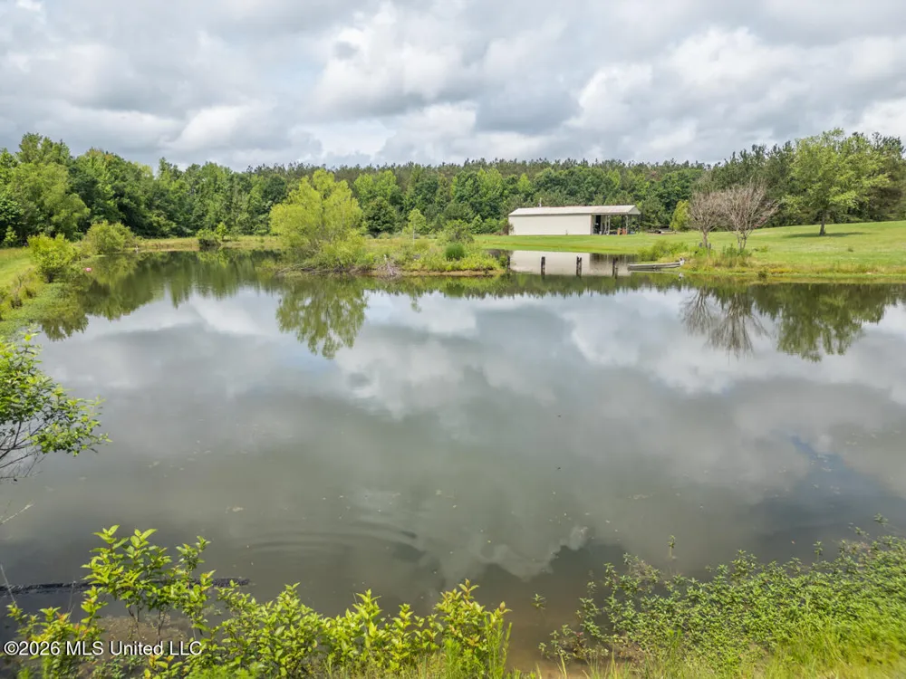 1529 Lower Milligan Springs Road Kilmichael, MS 39747