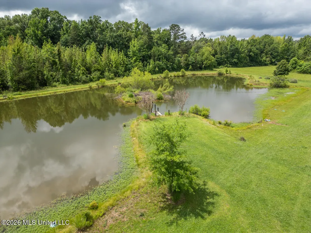 1529 Lower Milligan Springs Road Kilmichael, MS 39747