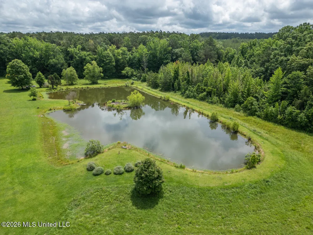 1529 Lower Milligan Springs Road Kilmichael, MS 39747