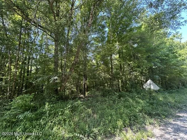 Lower Gloster Road Crosby, MS 39633