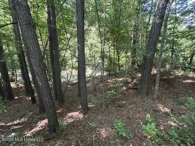 Lower Gloster Road Crosby, MS 39633