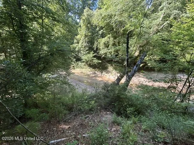 Lower Gloster Road Crosby, MS 39633
