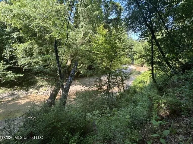 Lower Gloster Road Crosby, MS 39633