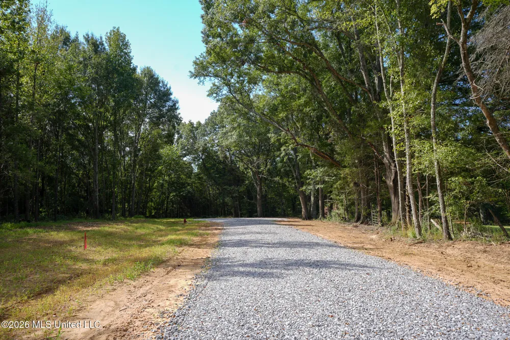 Fallen Oak Cove Flora, MS 39071
