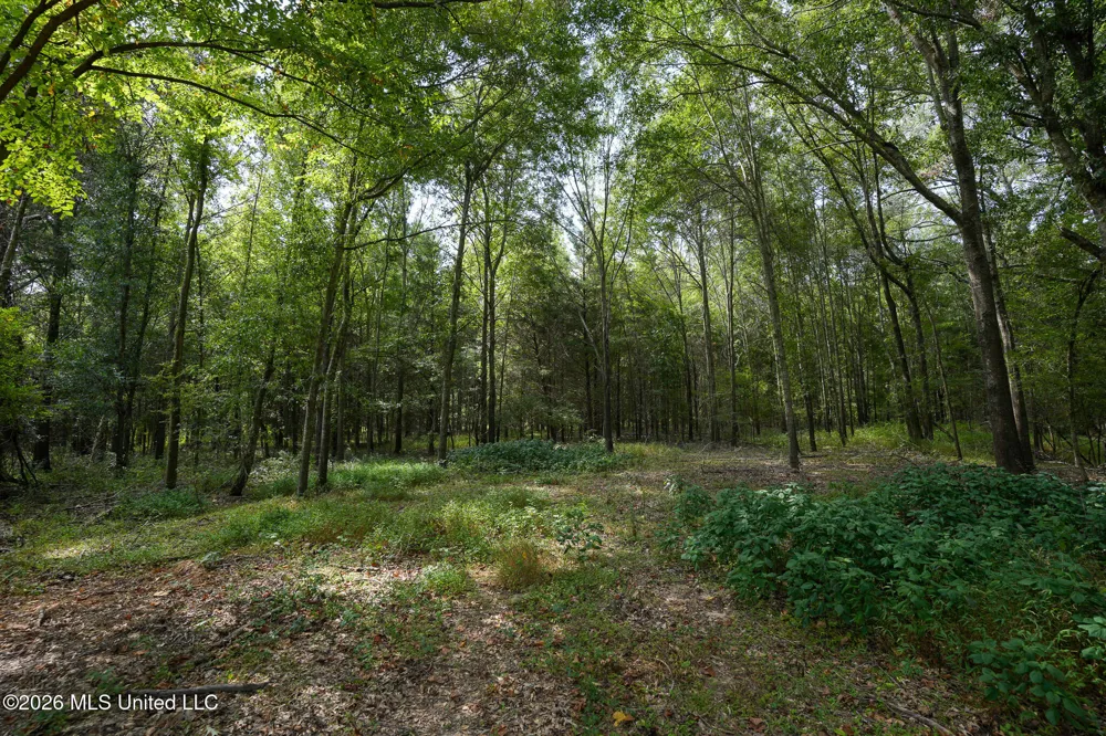 Fallen Oak Cove Flora, MS 39071
