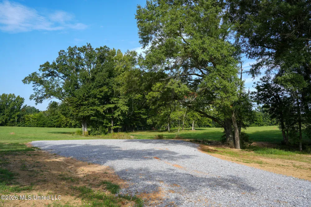 Grand Oaks Way Flora, MS 39071