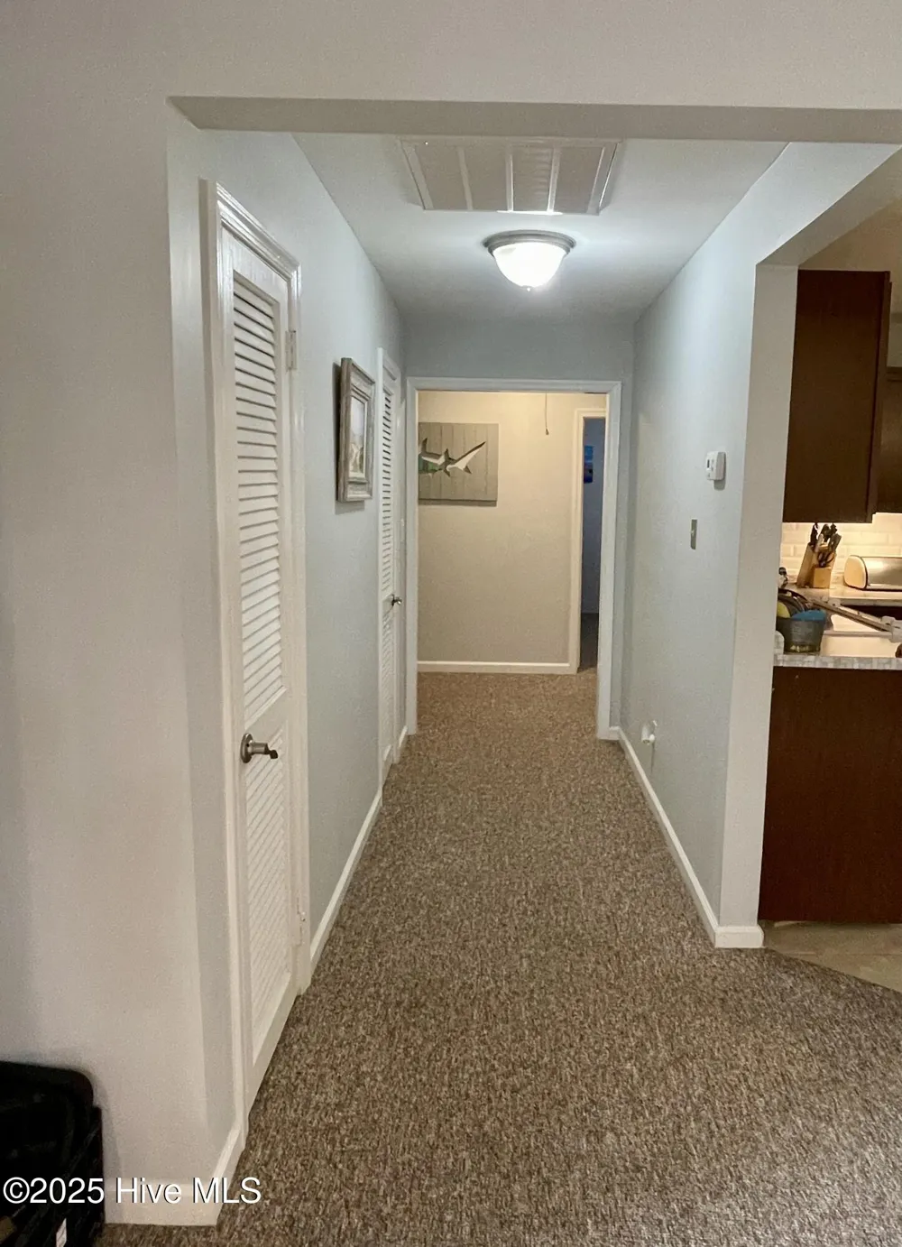 442 Lamont Street Belhaven, NC 27810