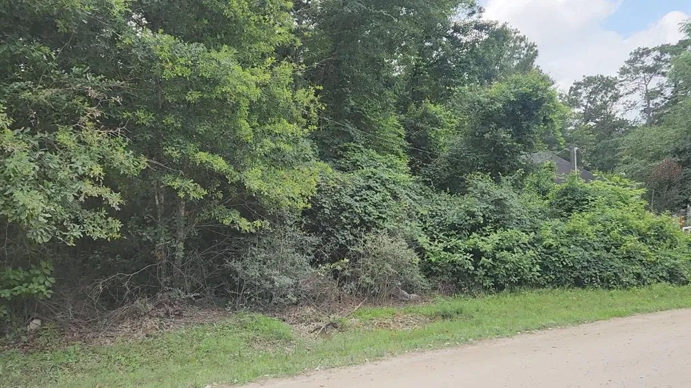 5 Tawnyberry Lane Plantersville, TX 77363