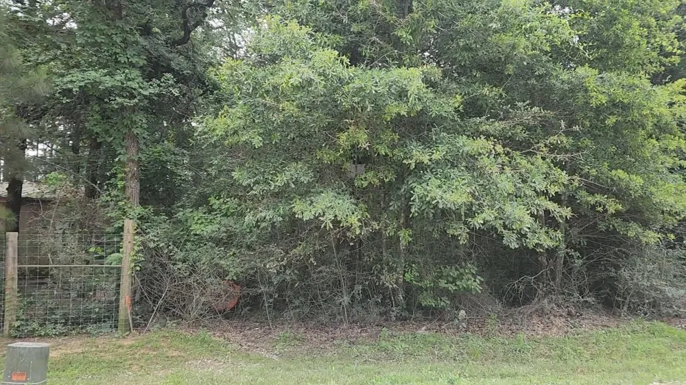 5 Tawnyberry Lane Plantersville, TX 77363