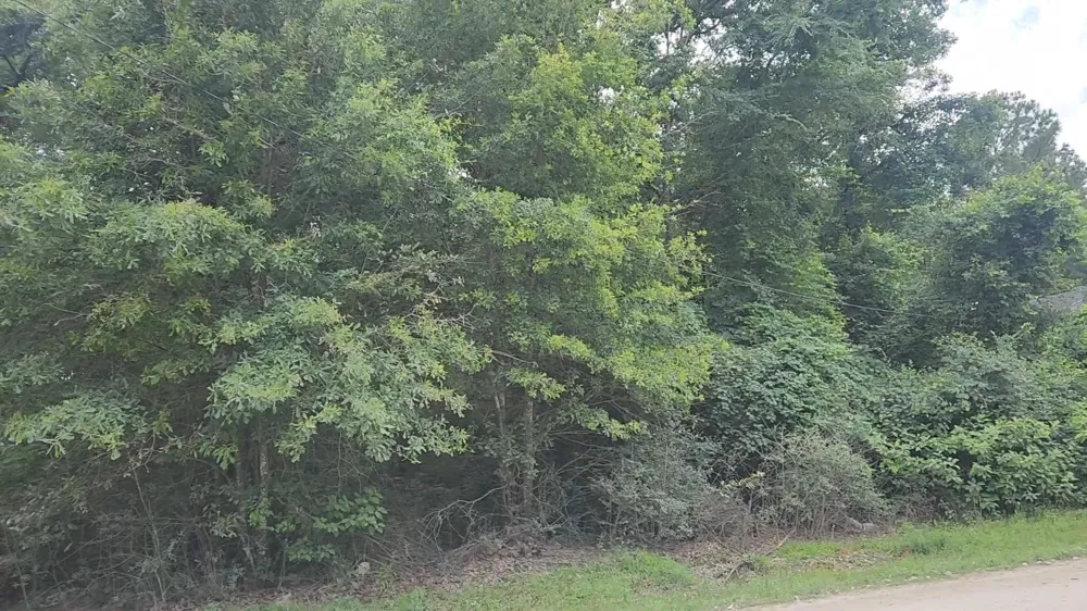 5 Tawnyberry Lane Plantersville, TX 77363