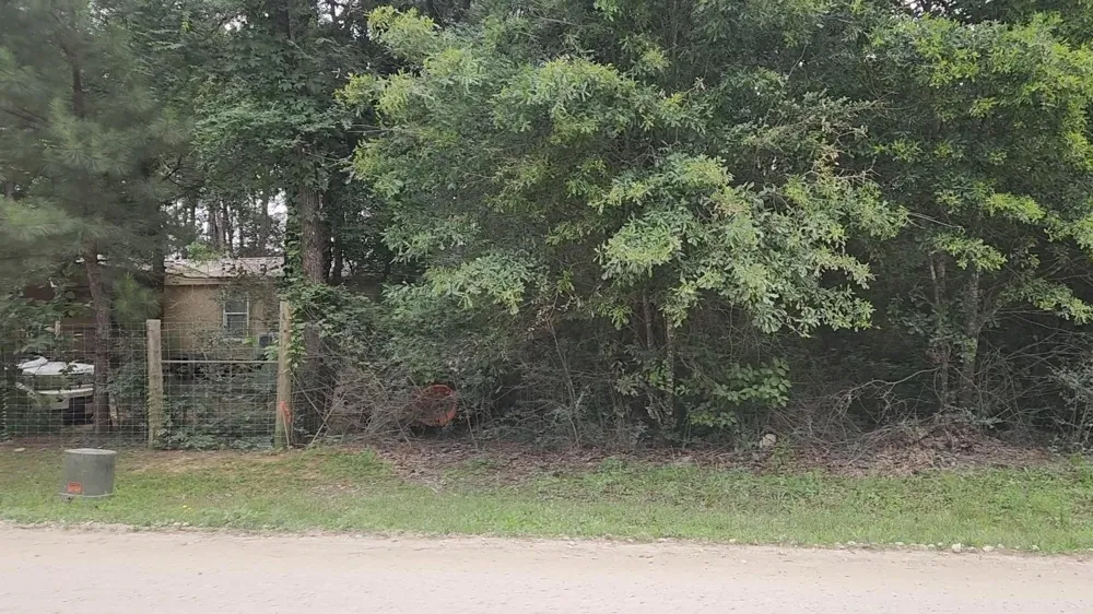 5 Tawnyberry Lane Plantersville, TX 77363