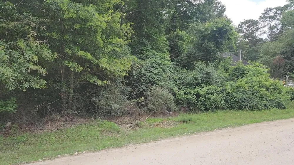 5 Tawnyberry Lane Plantersville, TX 77363