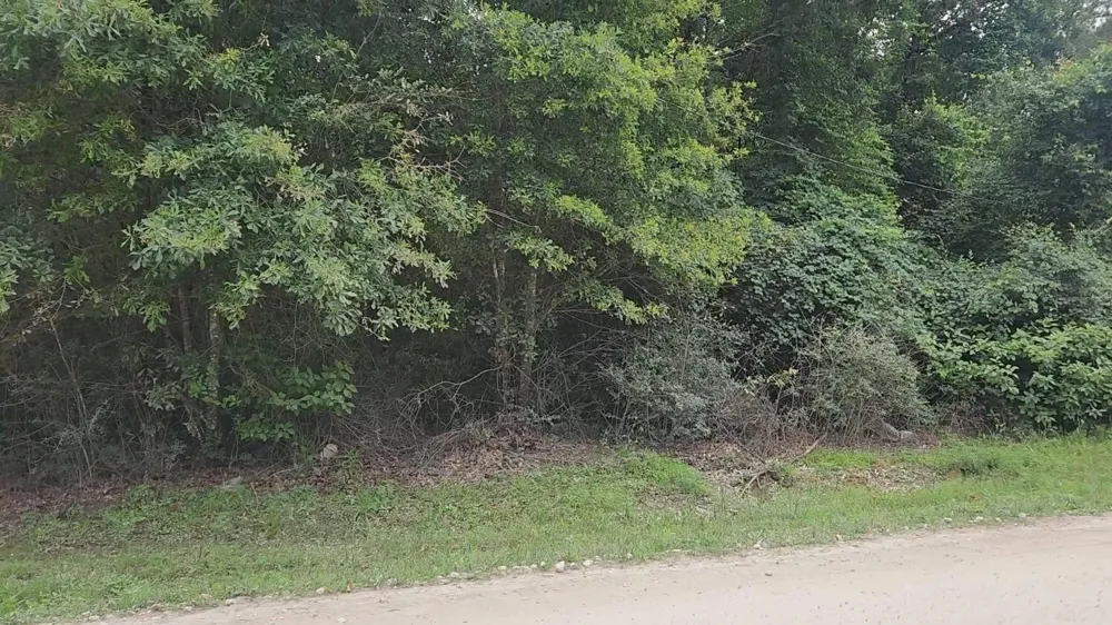 5 Tawnyberry Lane Plantersville, TX 77363