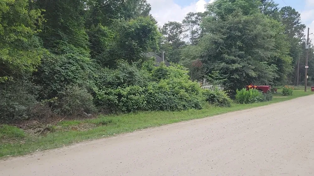 5 Tawnyberry Lane Plantersville, TX 77363