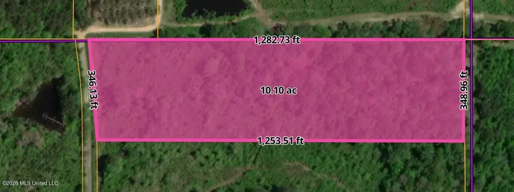Lela Drive Magnolia, MS 39652