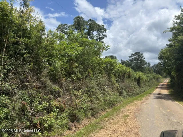 Lela Drive Magnolia, MS 39652