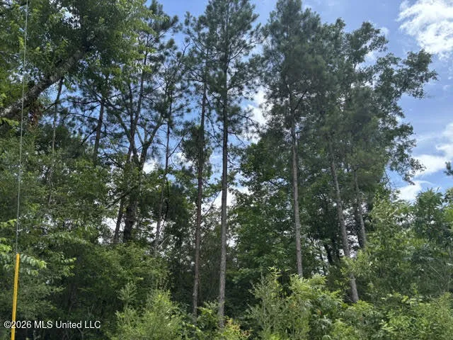 Lela Drive Magnolia, MS 39652
