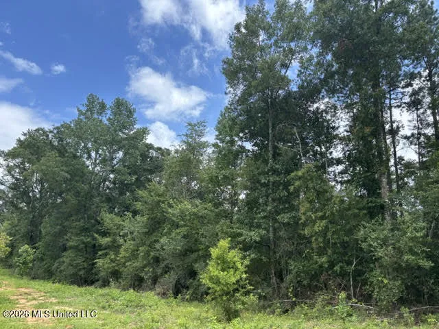 Lela Drive Magnolia, MS 39652