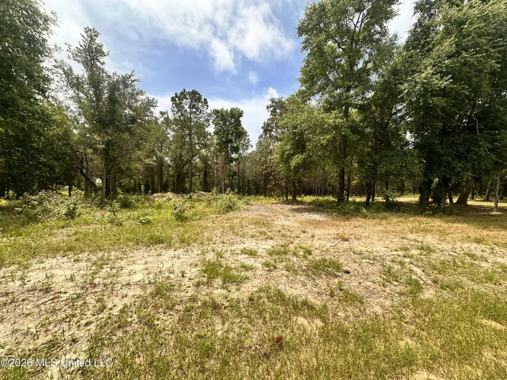 Lot 9 Magnolia Street Long Beach, MS 39560