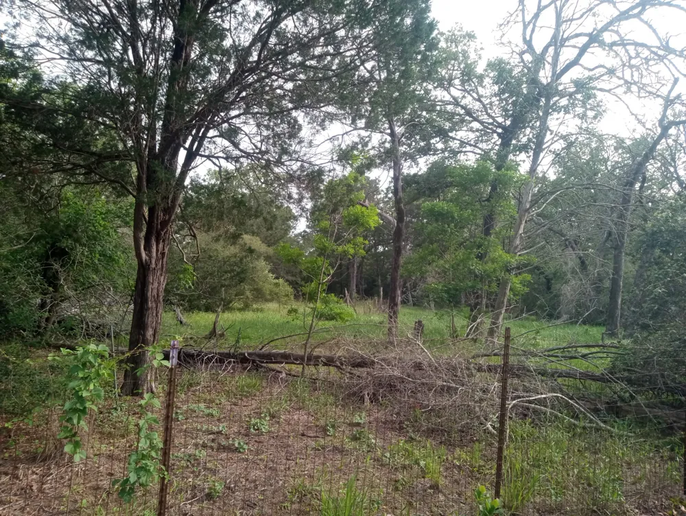 314 Green Oaks Drive #Lot# 14-A Bastrop, TX 78602